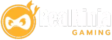 Realninjagaming.com